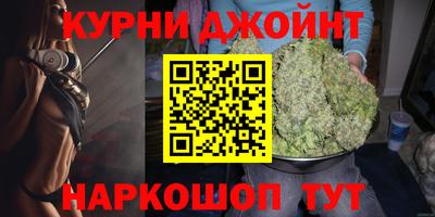 ALPHA PVP Гай