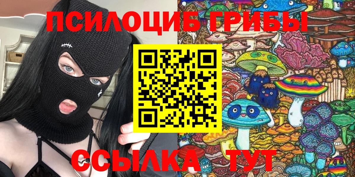 Галлюциногенные грибы Cubensis Зерноград