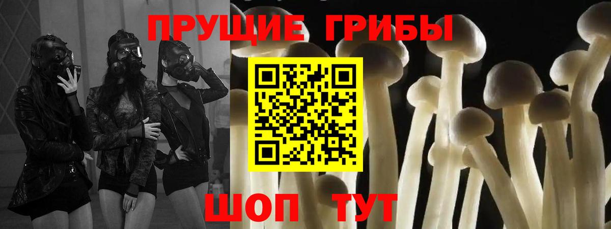 Галлюциногенные грибы прущие грибы  Псилоцибиновые грибы Cubensis  Зерноград  Вход с VPN 